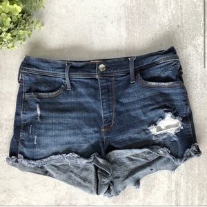 HOLLISTER SHORT SHORTS SIZE 11